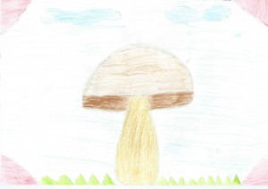 Auce_Namins_20131120_1